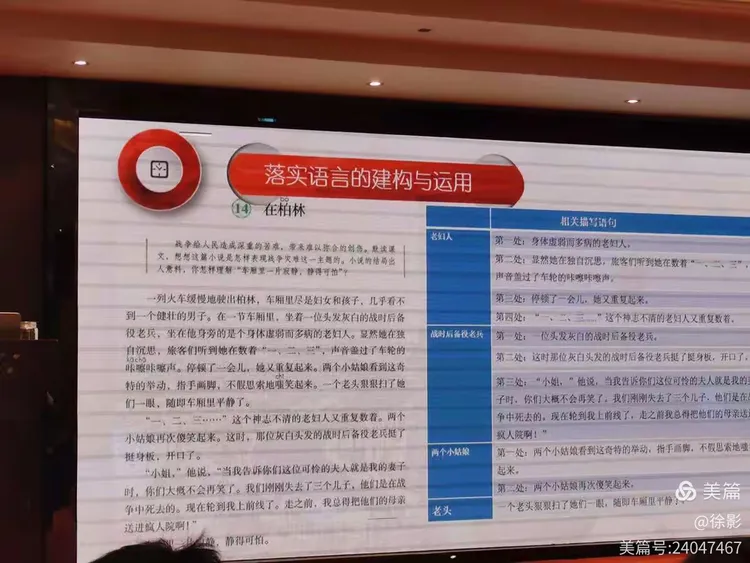 瞻予马首打一准确生肖仔细释义、解释与落实、构建解答解释落实