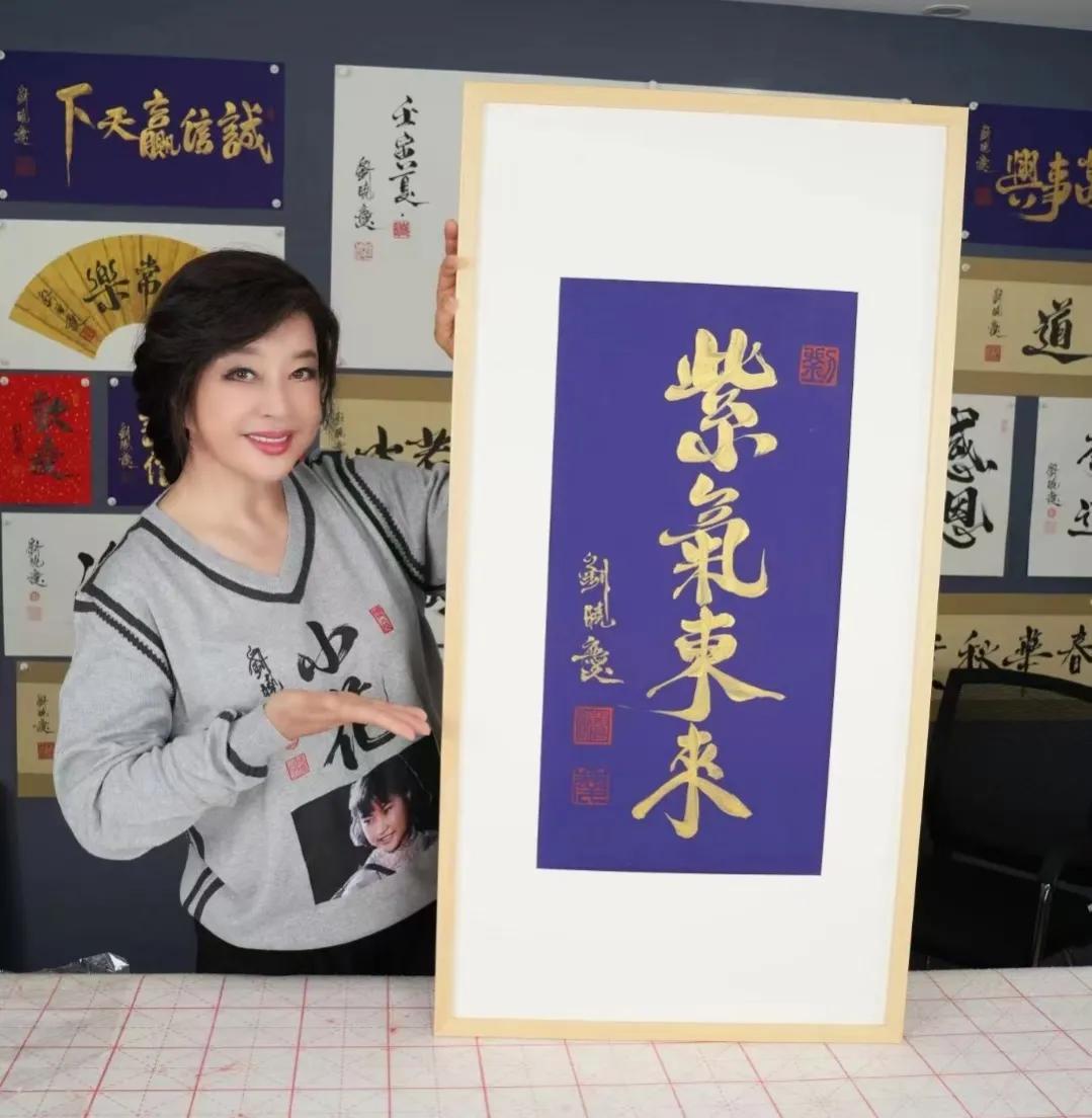 平步青云打一个生肖，详细解答、精准解答解释落实